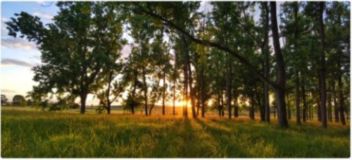 All Seasons Country Lodge Тарі Екстер'єр фото
