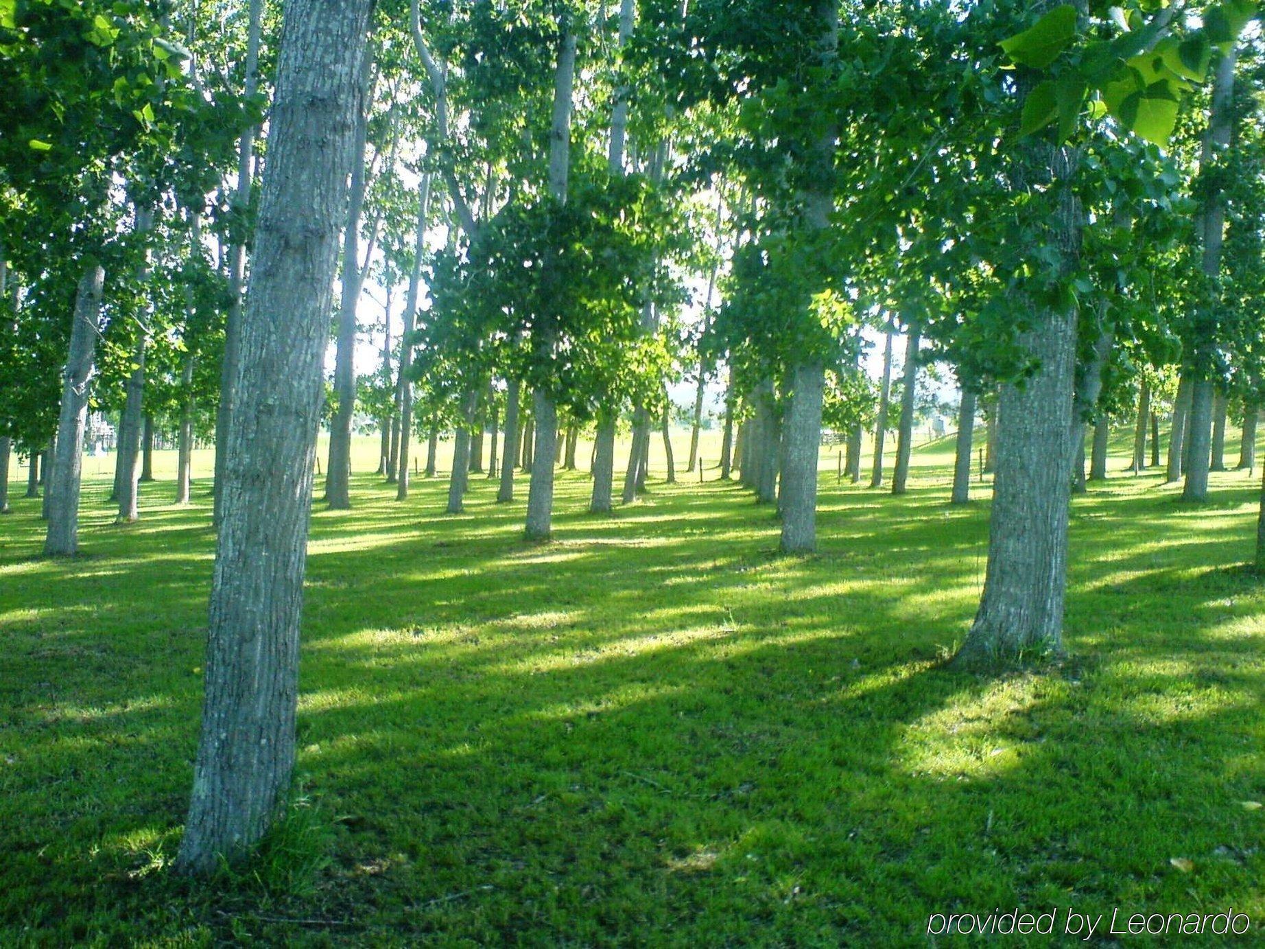 All Seasons Country Lodge Тарі Екстер'єр фото